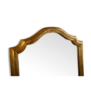 Espejo Shanga-Harrison & Gil